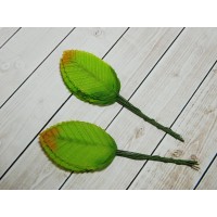 Листья, 100 шт. (10 связок), зеленый